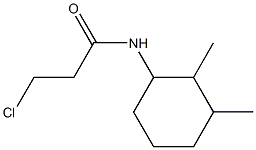 3-chloro-N-(2,3-dimethylcyclohexyl)propanamide Struktur