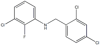 3-chloro-N-[(2,4-dichlorophenyl)methyl]-2-fluoroaniline Struktur