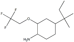 4-(2-methylbutan-2-yl)-2-(2,2,2-trifluoroethoxy)cyclohexan-1-amine Struktur