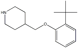 4-(2-tert-butylphenoxymethyl)piperidine Struktur