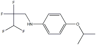 4-(propan-2-yloxy)-N-(2,2,3,3-tetrafluoropropyl)aniline Struktur