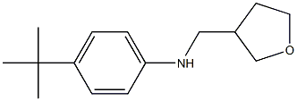 4-tert-butyl-N-(oxolan-3-ylmethyl)aniline Struktur