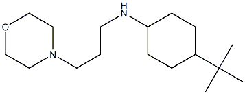 4-tert-butyl-N-[3-(morpholin-4-yl)propyl]cyclohexan-1-amine Struktur