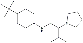 4-tert-butyl-N-[3-methyl-2-(pyrrolidin-1-yl)butyl]cyclohexan-1-amine Struktur