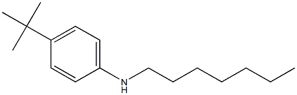 4-tert-butyl-N-heptylaniline Struktur