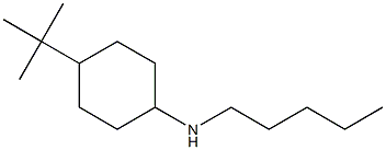 4-tert-butyl-N-pentylcyclohexan-1-amine Struktur