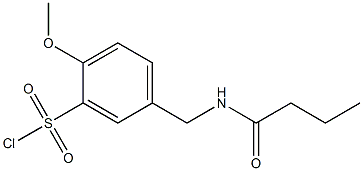 5-(butanamidomethyl)-2-methoxybenzene-1-sulfonyl chloride Struktur