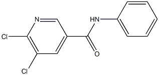 5,6-dichloro-N-phenylpyridine-3-carboxamide Struktur