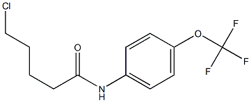 5-chloro-N-[4-(trifluoromethoxy)phenyl]pentanamide Struktur