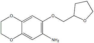 7-(oxolan-2-ylmethoxy)-2,3-dihydro-1,4-benzodioxin-6-amine Struktur