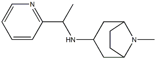 8-methyl-N-[1-(pyridin-2-yl)ethyl]-8-azabicyclo[3.2.1]octan-3-amine Struktur