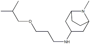 8-methyl-N-[3-(2-methylpropoxy)propyl]-8-azabicyclo[3.2.1]octan-3-amine Struktur