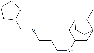 8-methyl-N-[3-(oxolan-2-ylmethoxy)propyl]-8-azabicyclo[3.2.1]octan-3-amine Struktur