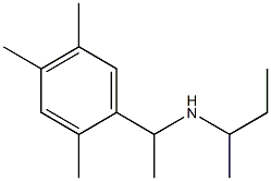 butan-2-yl[1-(2,4,5-trimethylphenyl)ethyl]amine Struktur