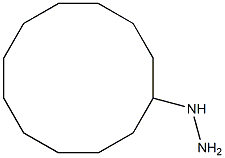 cyclododecylhydrazine Struktur