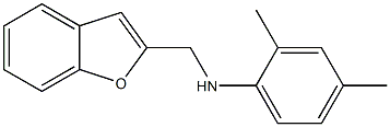 N-(1-benzofuran-2-ylmethyl)-2,4-dimethylaniline Struktur