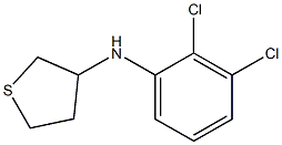 N-(2,3-dichlorophenyl)thiolan-3-amine Struktur