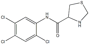 N-(2,4,5-trichlorophenyl)-1,3-thiazolidine-4-carboxamide Struktur