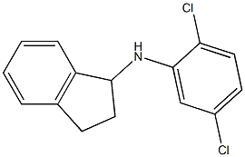 N-(2,5-dichlorophenyl)-2,3-dihydro-1H-inden-1-amine Struktur