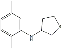 N-(2,5-dimethylphenyl)thiolan-3-amine Struktur