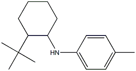 N-(2-tert-butylcyclohexyl)-4-methylaniline Struktur