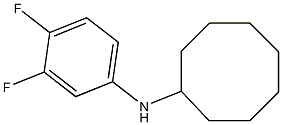 N-(3,4-difluorophenyl)cyclooctanamine Struktur