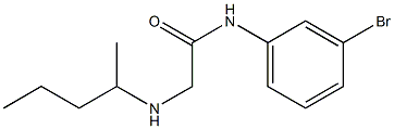 N-(3-bromophenyl)-2-(pentan-2-ylamino)acetamide Struktur