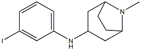 N-(3-iodophenyl)-8-methyl-8-azabicyclo[3.2.1]octan-3-amine Struktur