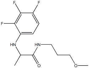 N-(3-methoxypropyl)-2-[(2,3,4-trifluorophenyl)amino]propanamide Struktur