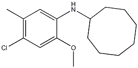 N-(4-chloro-2-methoxy-5-methylphenyl)cyclooctanamine Struktur