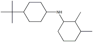 N-(4-tert-butylcyclohexyl)-2,3-dimethylcyclohexan-1-amine Struktur