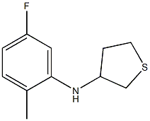 N-(5-fluoro-2-methylphenyl)thiolan-3-amine Struktur