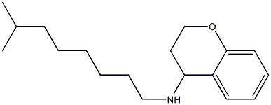 N-(7-methyloctyl)-3,4-dihydro-2H-1-benzopyran-4-amine Struktur