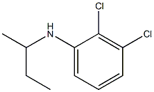 N-(butan-2-yl)-2,3-dichloroaniline Struktur