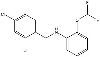 N-[(2,4-dichlorophenyl)methyl]-2-(difluoromethoxy)aniline Struktur