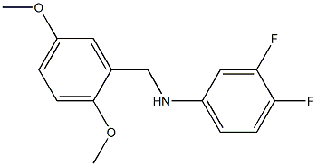 N-[(2,5-dimethoxyphenyl)methyl]-3,4-difluoroaniline Struktur