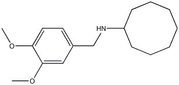 N-[(3,4-dimethoxyphenyl)methyl]cyclooctanamine Struktur