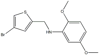 N-[(4-bromothiophen-2-yl)methyl]-2,5-dimethoxyaniline Struktur