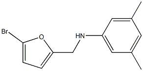 N-[(5-bromofuran-2-yl)methyl]-3,5-dimethylaniline Struktur