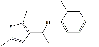 N-[1-(2,5-dimethylthiophen-3-yl)ethyl]-2,4-dimethylaniline Struktur