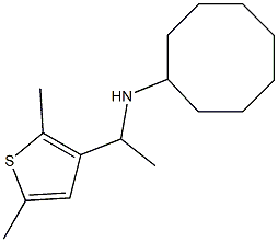 N-[1-(2,5-dimethylthiophen-3-yl)ethyl]cyclooctanamine Struktur