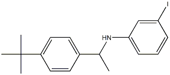 N-[1-(4-tert-butylphenyl)ethyl]-3-iodoaniline Struktur