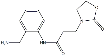 N-[2-(aminomethyl)phenyl]-3-(2-oxo-1,3-oxazolidin-3-yl)propanamide Struktur