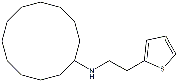 N-[2-(thiophen-2-yl)ethyl]cyclododecanamine Struktur