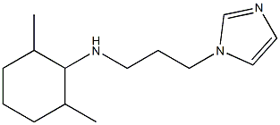 N-[3-(1H-imidazol-1-yl)propyl]-2,6-dimethylcyclohexan-1-amine Struktur