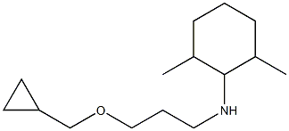 N-[3-(cyclopropylmethoxy)propyl]-2,6-dimethylcyclohexan-1-amine Struktur