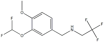 N-[3-(difluoromethoxy)-4-methoxybenzyl]-N-(2,2,2-trifluoroethyl)amine Struktur