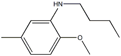 N-butyl-2-methoxy-5-methylaniline Struktur