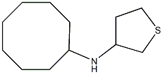 N-cyclooctylthiolan-3-amine Struktur