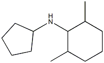 N-cyclopentyl-2,6-dimethylcyclohexan-1-amine Struktur